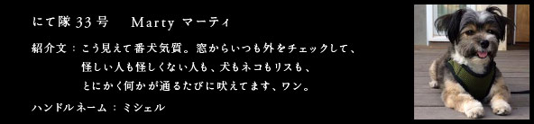 にて隊33号　Marty マーティ
紹介文：
ハンドルネーム：うみ