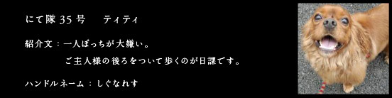 にて隊35号　ティティ
●紹介文：一人ぼっちが大嫌い。ご主人様の後ろをついて歩くのが日課です。
ハンドルネーム：しぐなれす