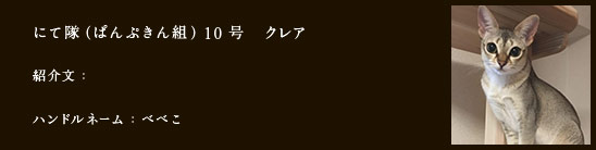 にて隊（ぱんぷきん組）10号　クレア
紹介文：
ハンドルネーム：べべこ