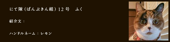 にて隊（ぱんぷきん組）12号　ふく
紹介文：
ハンドルネーム：レモン