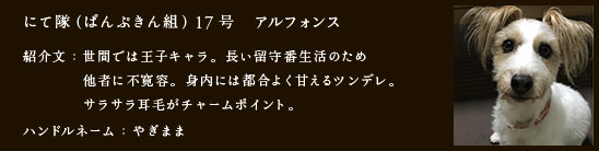 にて隊（ぱんぷきん組）17号　アルフォンス
紹介文：世間では王子キャラ。長い留守番生活のため
　　　　他者に不寛容。身内には都合よく甘えるツンデレ。
　　　　サラサラ耳毛がチャームポイント。
ハンドルネーム：やぎまま