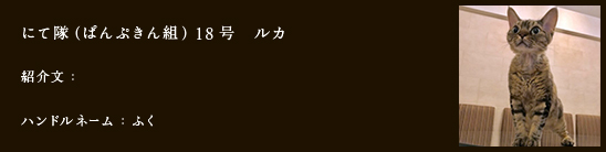 にて隊（ぱんぷきん組）18号　ルカ
紹介文：
ハンドルネーム：やぎまま