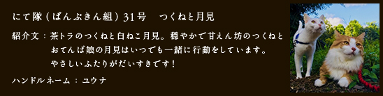 にて隊（ぱんぷきん組）31号　つくねと月見
紹介文：茶トラのつくねと白ねこ月見。穏やかで甘えん坊のつくねと
　　　　おてんば娘の月見はいつでも一緒に行動をしています。
　　　　やさしいふたりがだいすきです！
ハンドルネーム：ユウナ