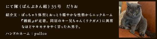 にて隊（ぱんぷきん組）35号　だりお
紹介文：ぽっちゃり体型とおっとり穏やかな性格からニックネーム
　　　　『饅頭』が定着。同居のキー兄ちゃん（リクガメ）に異常
　　　　なほどヤキモチをやく甘ったれ男子。
ハンドルネーム：pullco
