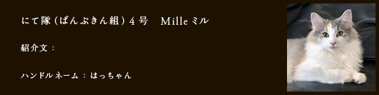 にて隊（ぱんぷきん組）4号　Milleミル
紹介文：
ハンドルネーム：はっちゃん