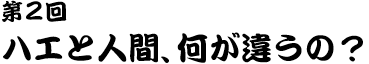 第２回 ハエと人間、何が違うの？