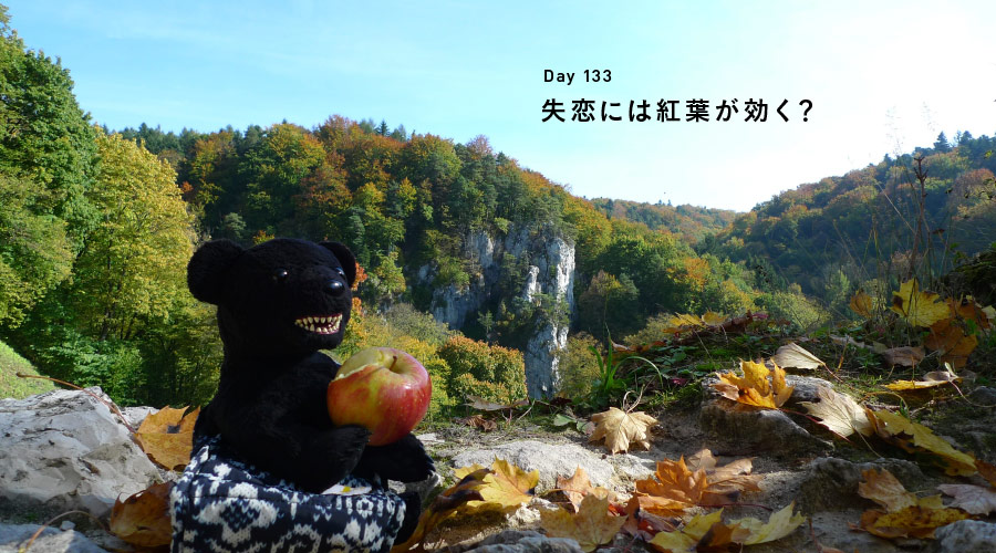 Day 133　失恋には紅葉が効く？