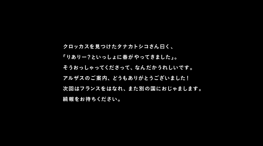 クロッカスを見つけたタナカトシコさん曰く、
「りありー？といっしょに春がやってきました」。
そうおっしゃってくださって、なんだかうれしいです。
アルザスのご案内、どうもありがとうございました！
次回はフランスをはなれ、また別の国におじゃまします。
続報をお待ちください。