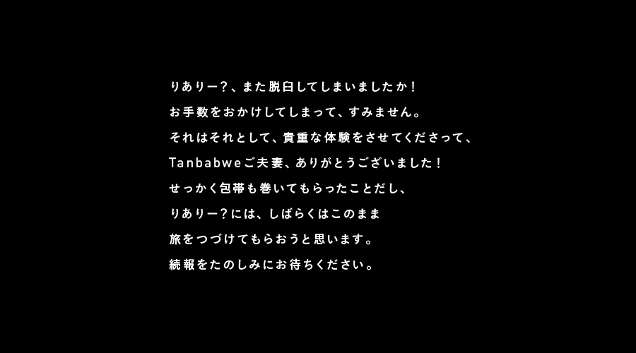 りありー？、また脱臼してしまいましたか！
お手数をおかけしてしまって、すみません。
それはそれとして、貴重な体験をさせてくださって、
Tanbabweご夫妻、ありがとうございました！
せっかく包帯も巻いてもらったことだし、
りありー？には、しばらくはこのまま
旅をつづけてもらおうと思います。
続報をたのしみにお待ちください。