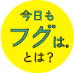 今日もフグは。とは？