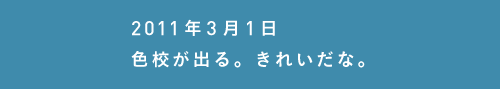 2011年3月01日色校が出る。きれいだな。