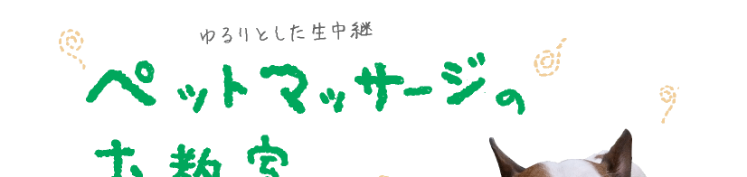 ゆるりとした生中継 ペットマッサージのお教室。  ひょんなことから、糸井重里、 「ペットマッサージ」を教えてもらうことになりました。 ペットマッサージ‥‥？ それは、人間がペットにするマッサージのこと。 飼い主がするのがペットにとって、 いちばんリラックスできるそうです。 というわけで、 「ペットマッサージのお教室」をひらきます。 先生は、ペットサロンを経営する友森玲子さん。 生徒は、ブイヨンという名の犬と暮らす糸井重里。 お教室の模様を、USTREAMで生中継しますよー！ ペットのいるかたは、パソコンの前に集合ー。 いっしょに、マッサージしましょー。