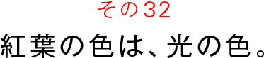 その３２　紅葉の色は、光の色。