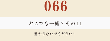 066　どこでも一緒？　その１1動かさないでください！