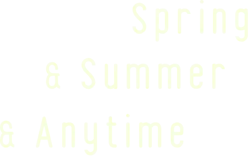SPRING & SUMMER & ANYTIME