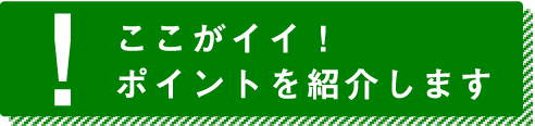 ポイントを紹介します