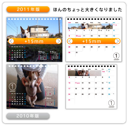 2010年版 → 2011年度版