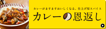 カレーがますますおいしくなる、仕上げ用スパイス　カレーの恩返し