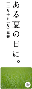 ある夏の日に。