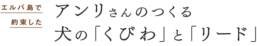 ミグノン応援企画アンリさんのつくる 犬の「くびわ」と「リード」