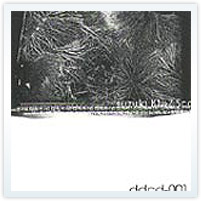 �wYes, Paradise, Yes/M.R.B.S.�xsuzuki K1>>7.5cc