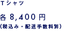 TVciō݁Ez萔ʁj8,400~