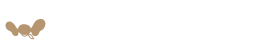 ほぼ日ホーム