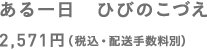 ある一日　ひびのこづえ 2,571円（税込・配送手数料別）