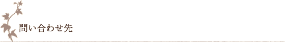 問い合わせ先 問い合わせ先