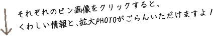 それぞれのピン画像をクリックすると、くわしい情報と、拡大PHOTOがごらんいただけますよ！