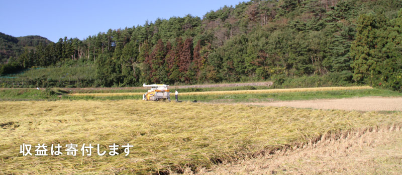 収益は寄付します 