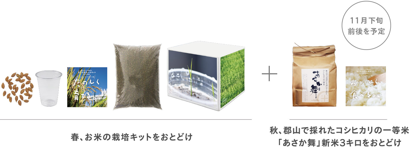 ちいさな田んぼキット スタンダード コース