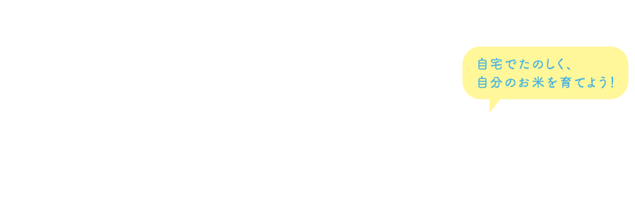 あおむしくらぶ＋ほぼ日ちいさな田んぼ ちいさな田んぼキット