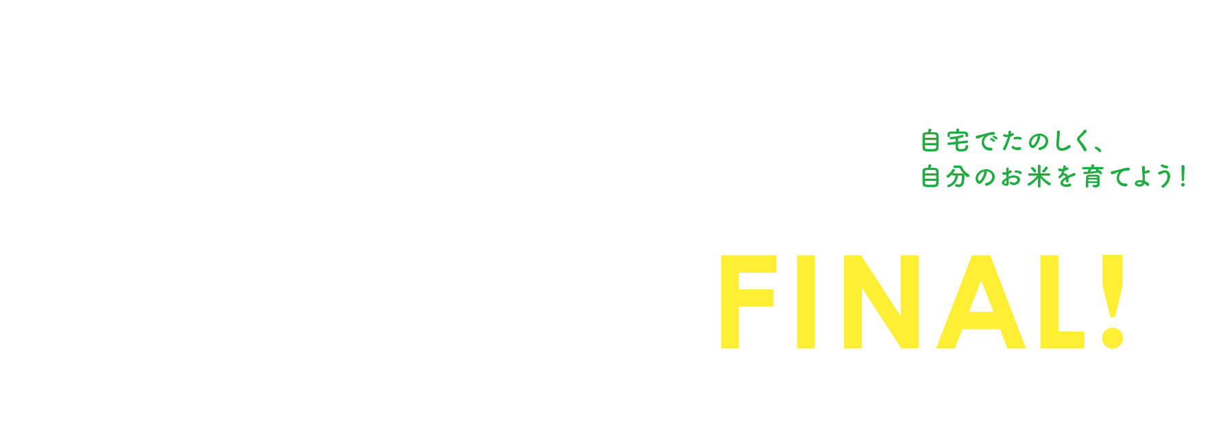 あおむしくらぶ＋ほぼ日　ちいさな田んぼキット FINAL！