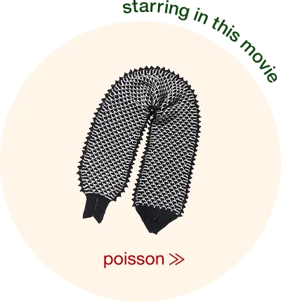 poissonへ