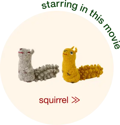 squirre