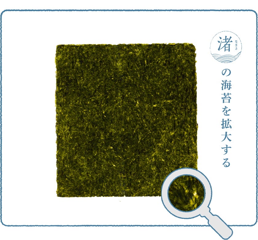渚