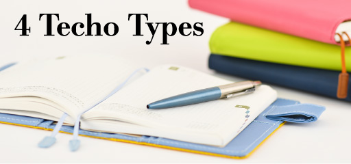 4 Techo Types