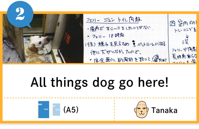 All things dog go here!