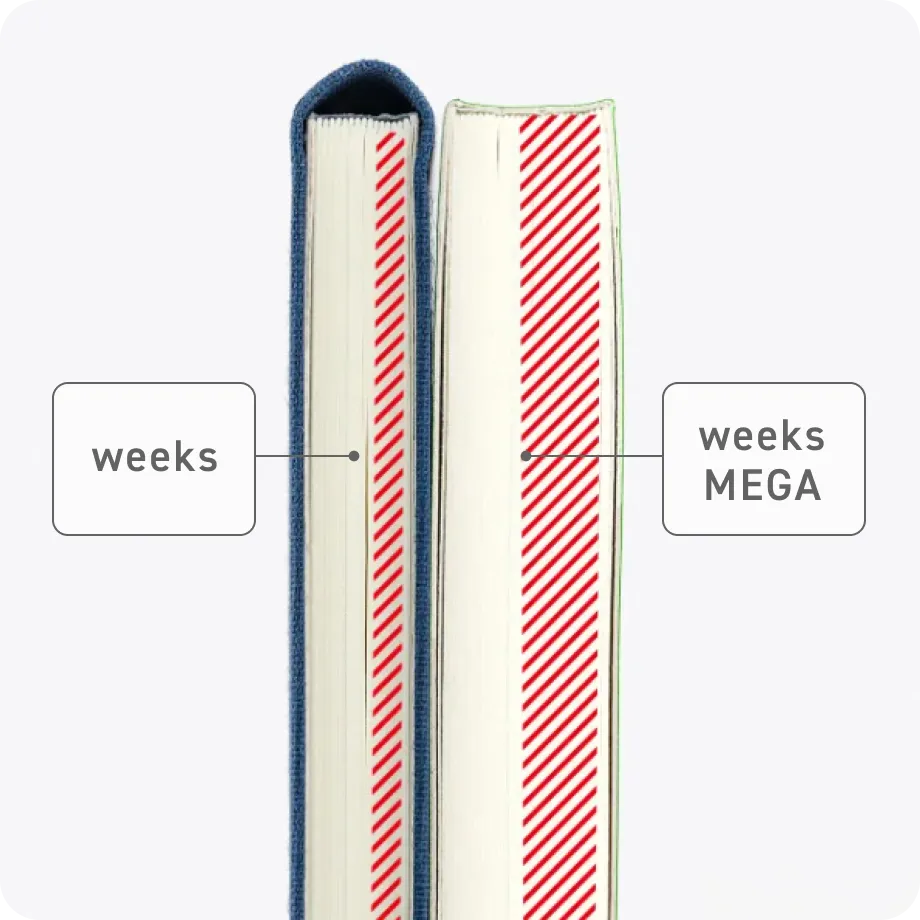 weeksの方眼メモページの厚さの写真