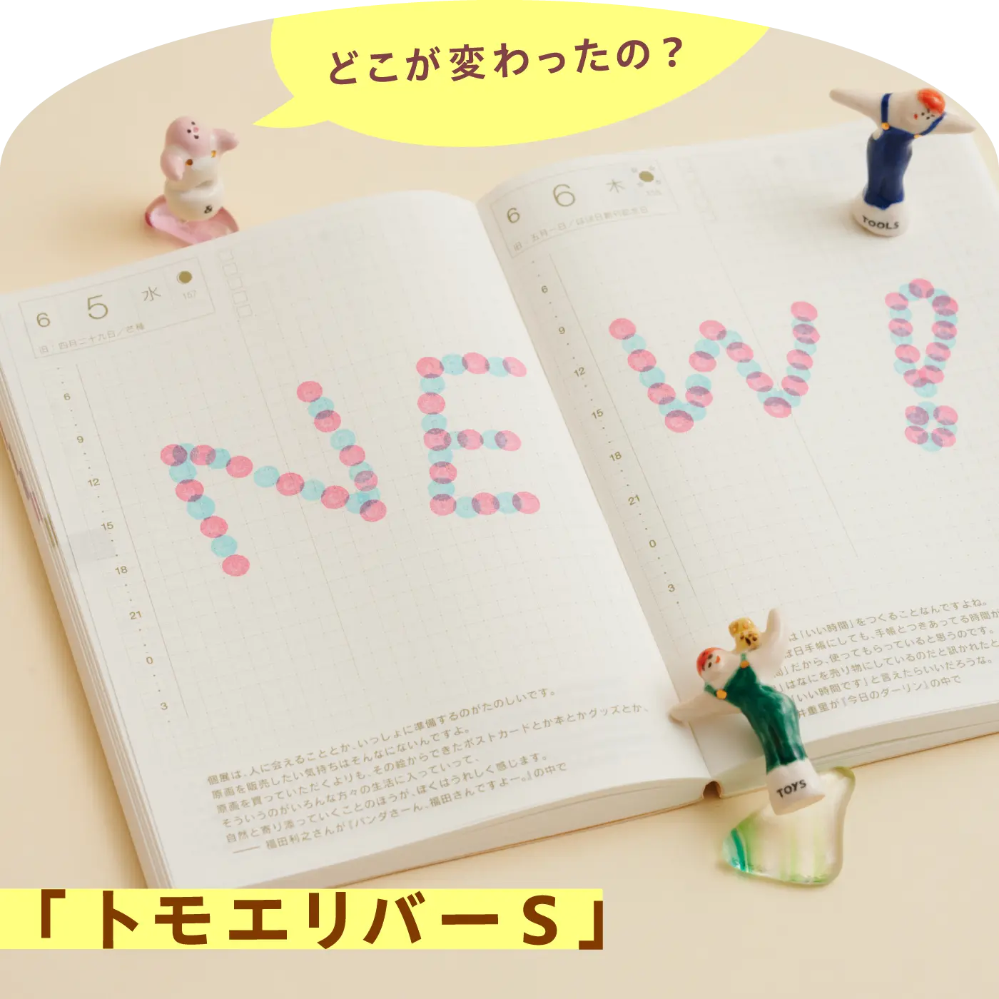 どこが変わったの？「トモエリバーS」