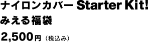 �i�C�����J�o�[ Starter Kit! �݂��镟�܁@2,500�~�i�ō��݁j