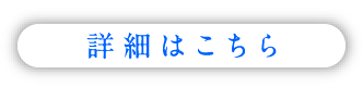 詳細をみる