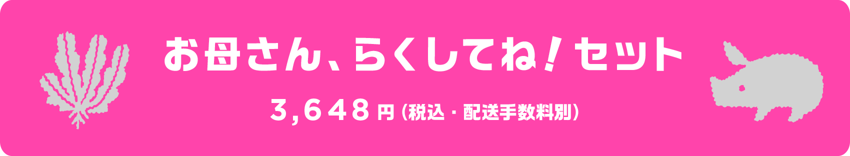 お母さん楽してね！セット