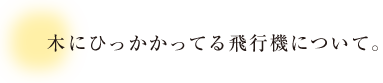 木にひっかかってる飛行機について。 