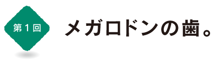 第１回　メガロドンの歯。