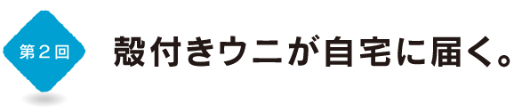 第２回　殻付きウニが自宅に届く。