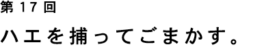 ��17�� �n�G��߂��Ă��܂����B